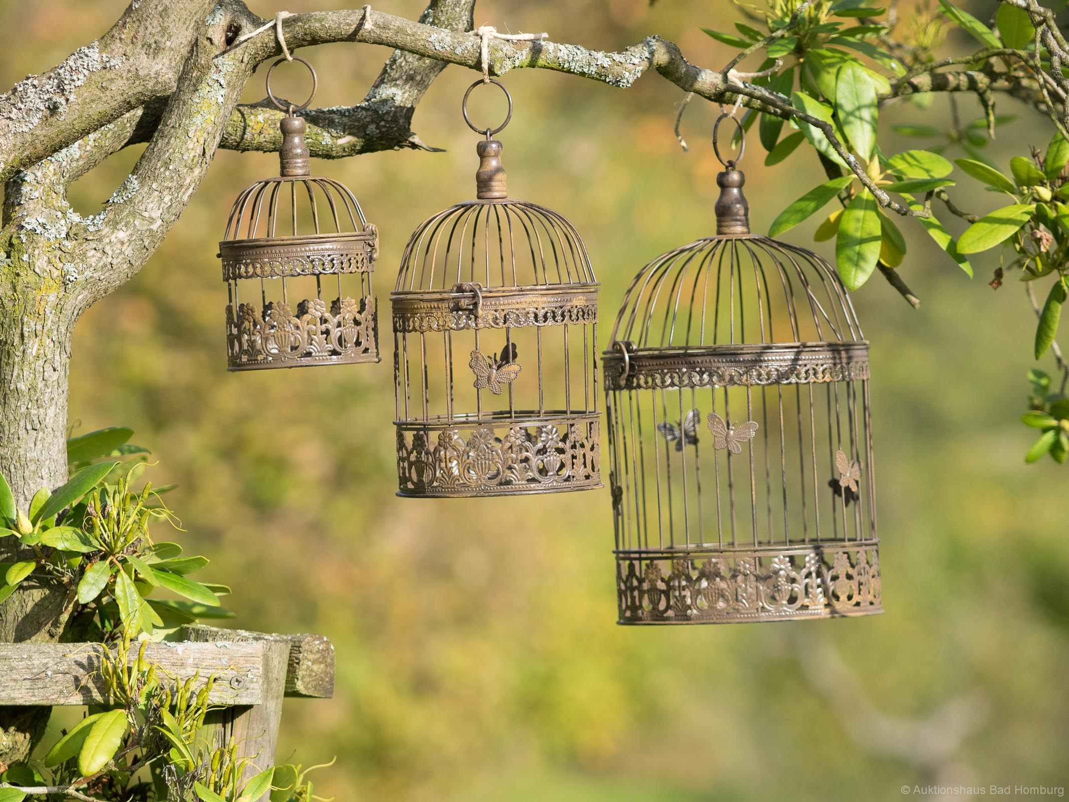 2014-10-28_Auktionshaus_02055f7ce6506f28 3 Vogelkäfige Vogel Käfig Deko Antik Stil Metall braun bird cage Dekokäfig