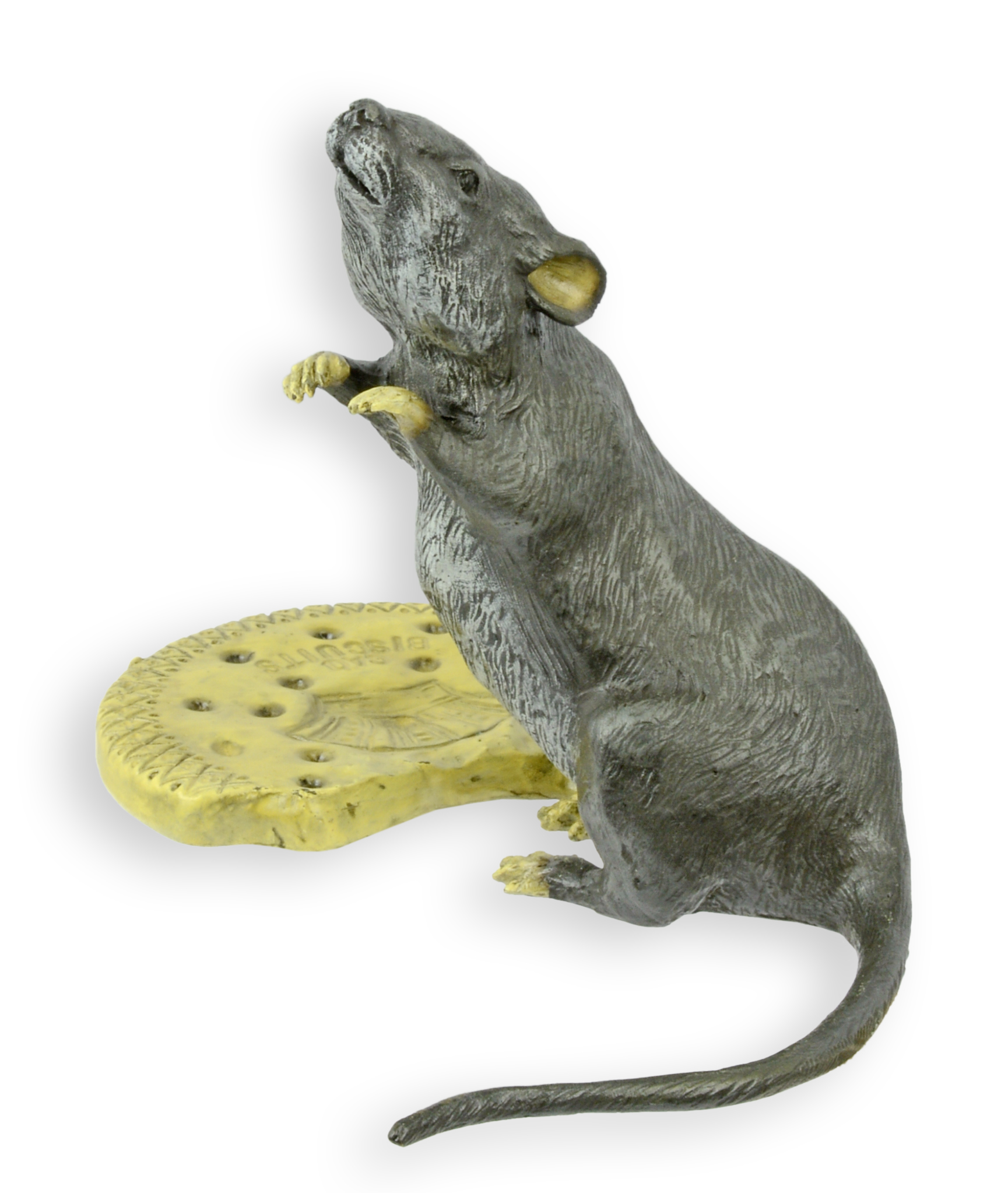 Tier, Säugetier, Nagetier