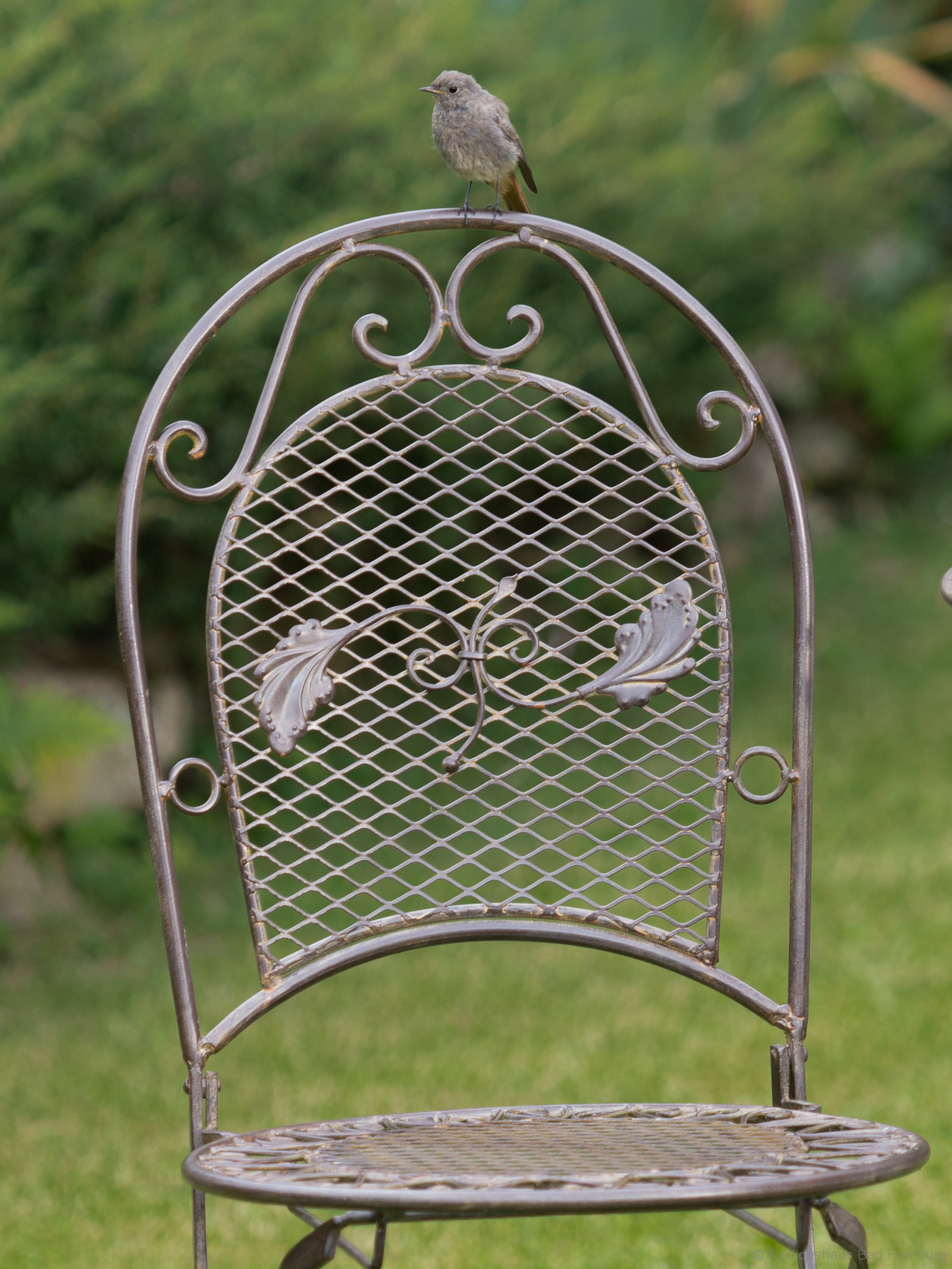 XXL Gartentisch + 4 Stühle Eisen Tisch Gartenmöbel antik Stil garden furniture