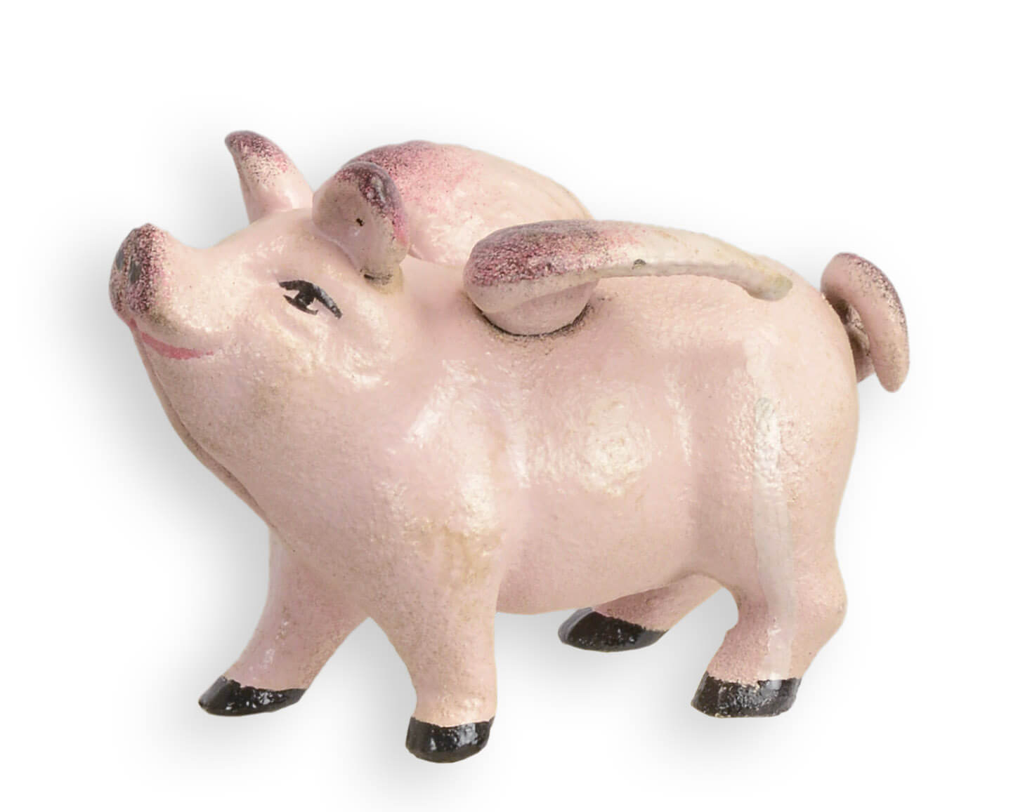 Tier, Säugetier, Schwein, Sparschwein