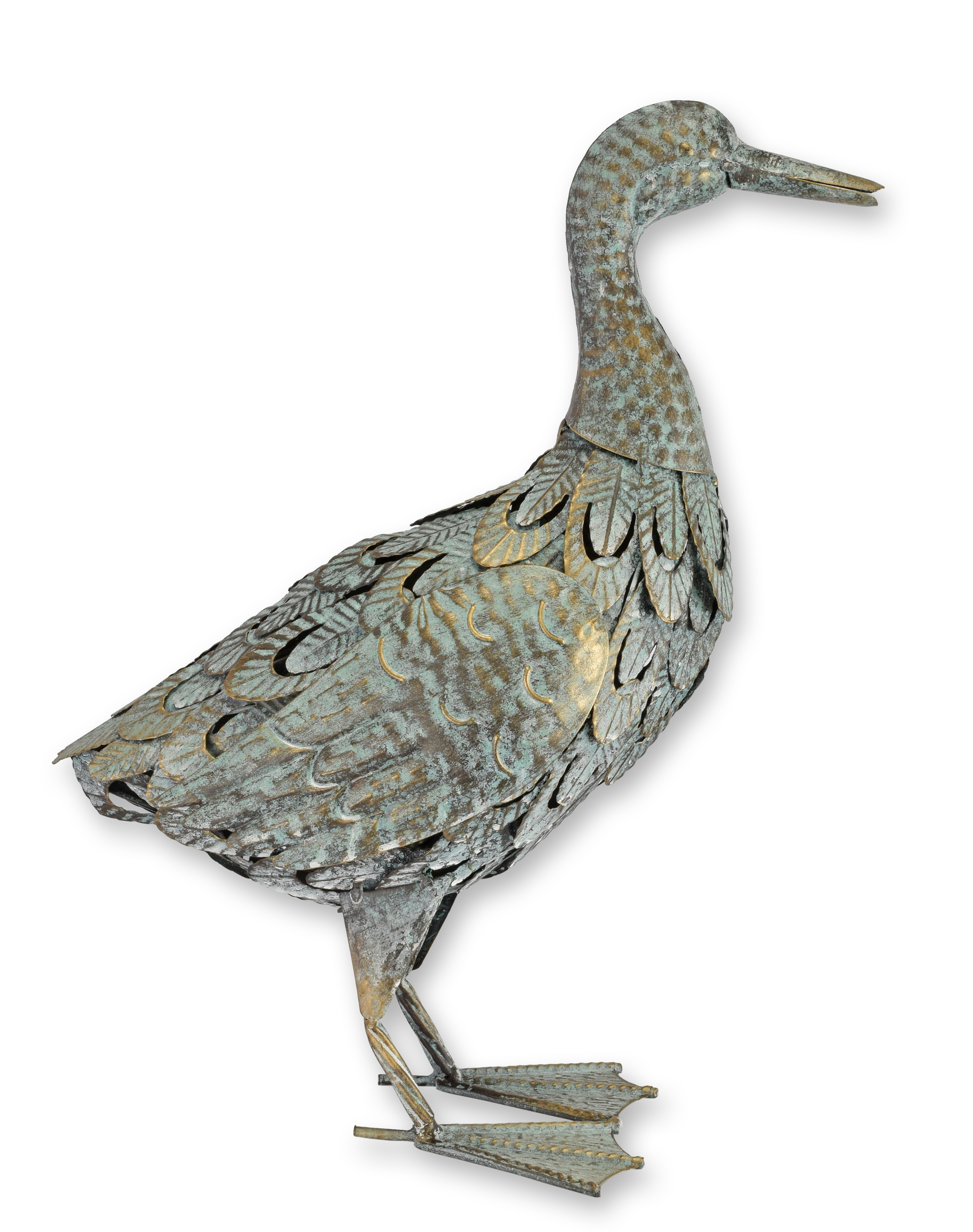 Tier, Vogel, Schnabel, Wasservögel