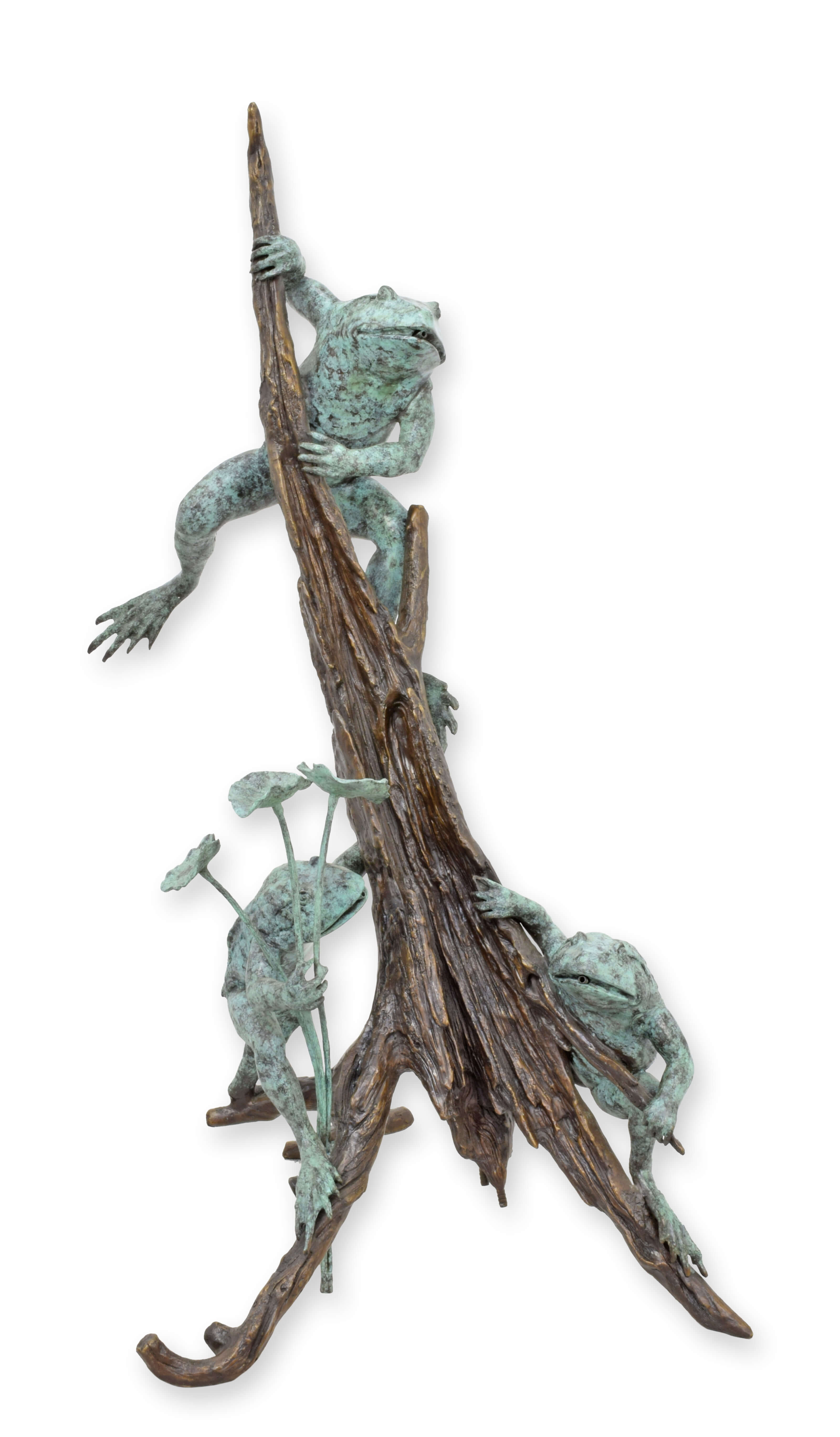 Holz, Tier, Echse, Reptil