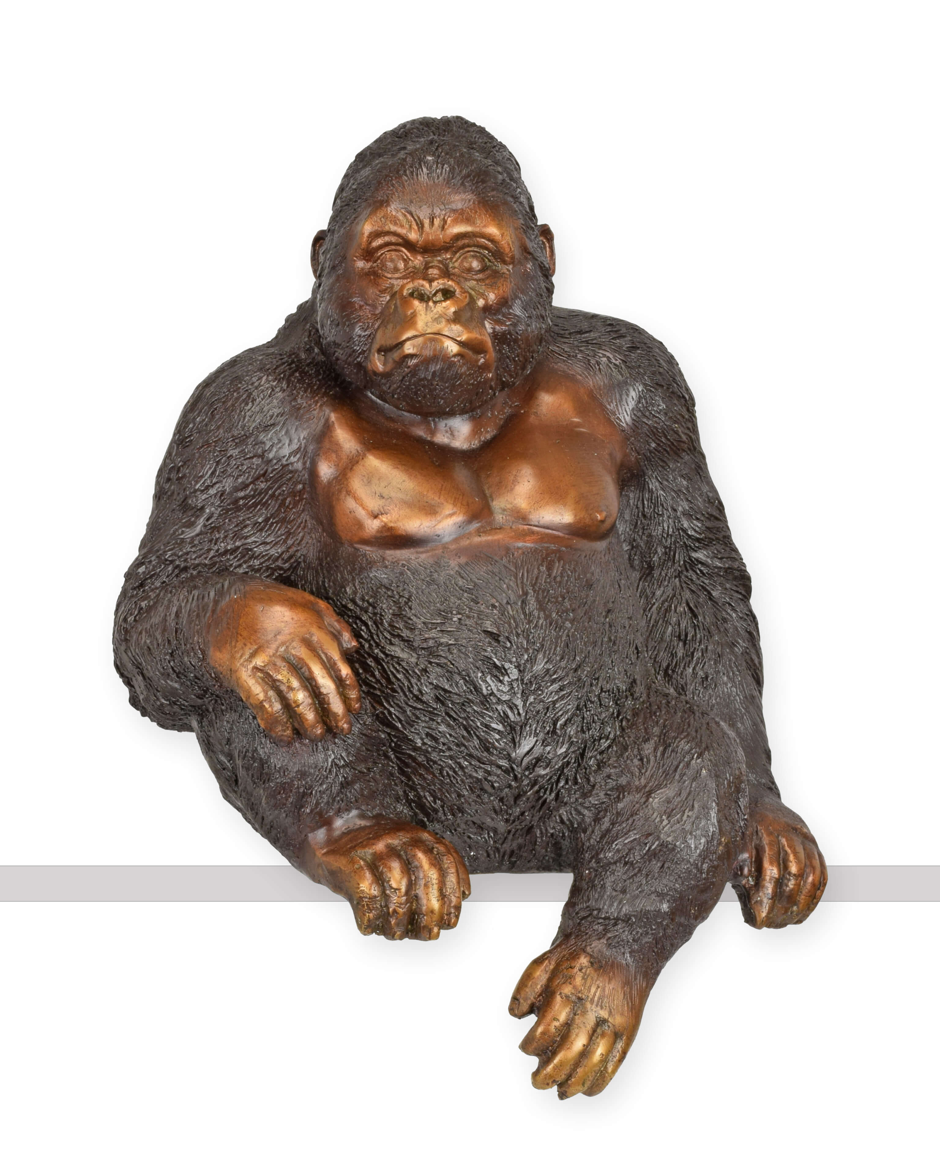 Tier, Affe, Säugetier, Tierwelt