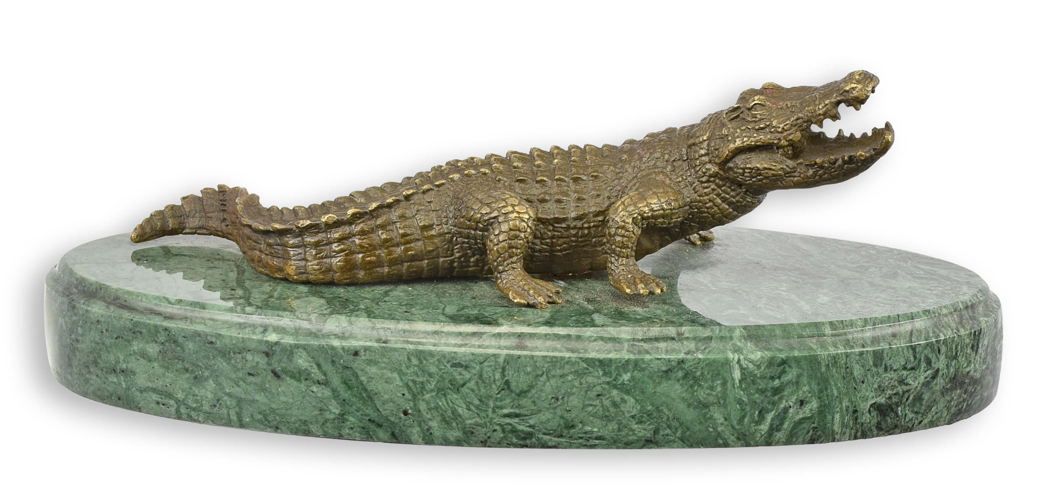 Tier, Echse, Reptil, Krokodil