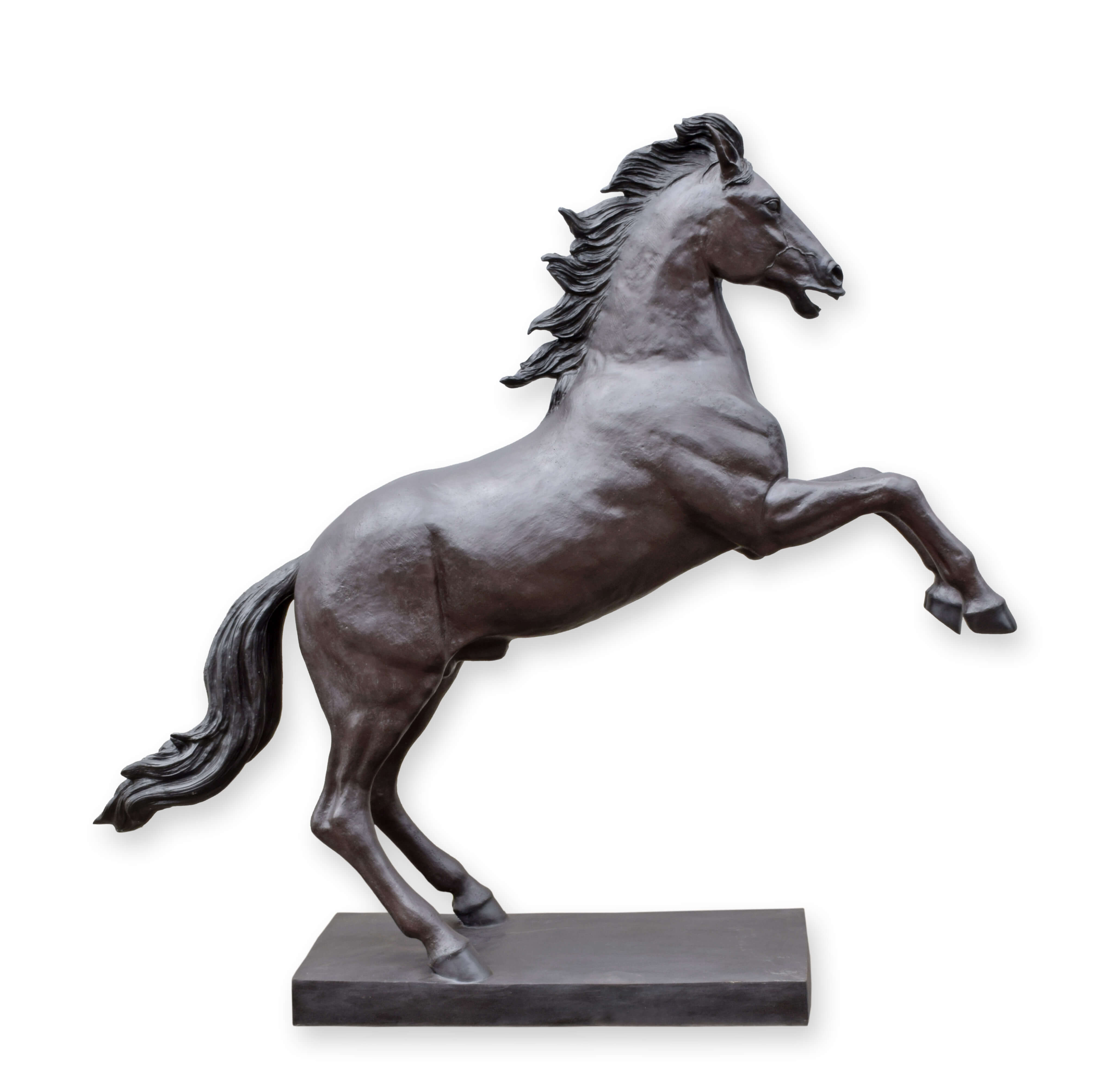 Pferd, Säugetier, Kunst, Andalusisches Pferd, Colt Horse