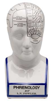kopf, phrenologie, büste, somatologie, gesichtskarte