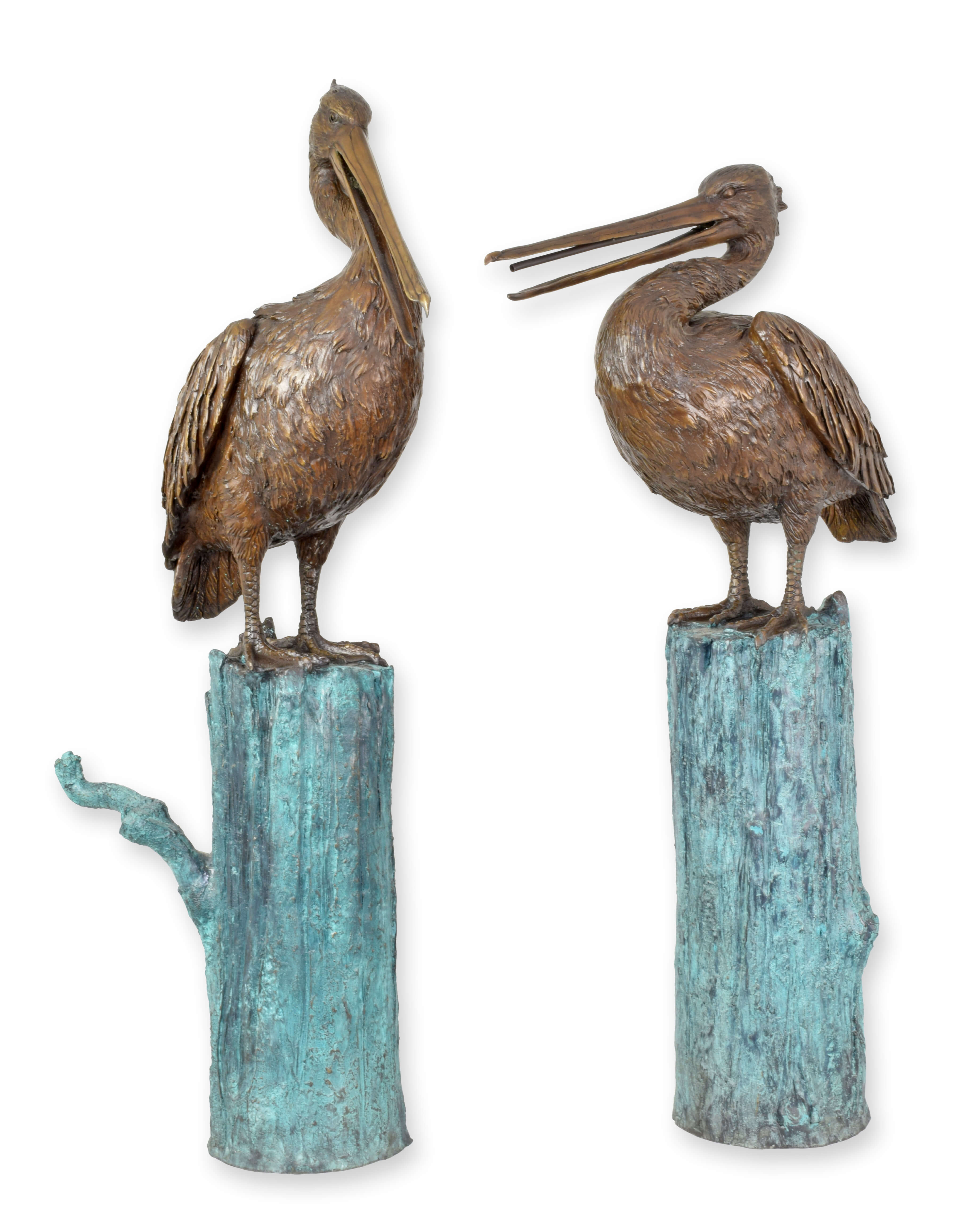 Tier, Vogel, Wasservögel, Pelikan, Baum